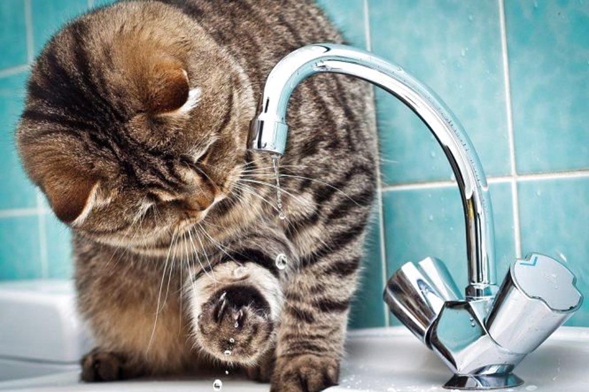 Один з мiкрорайонiв Кропивницького залишиться без води