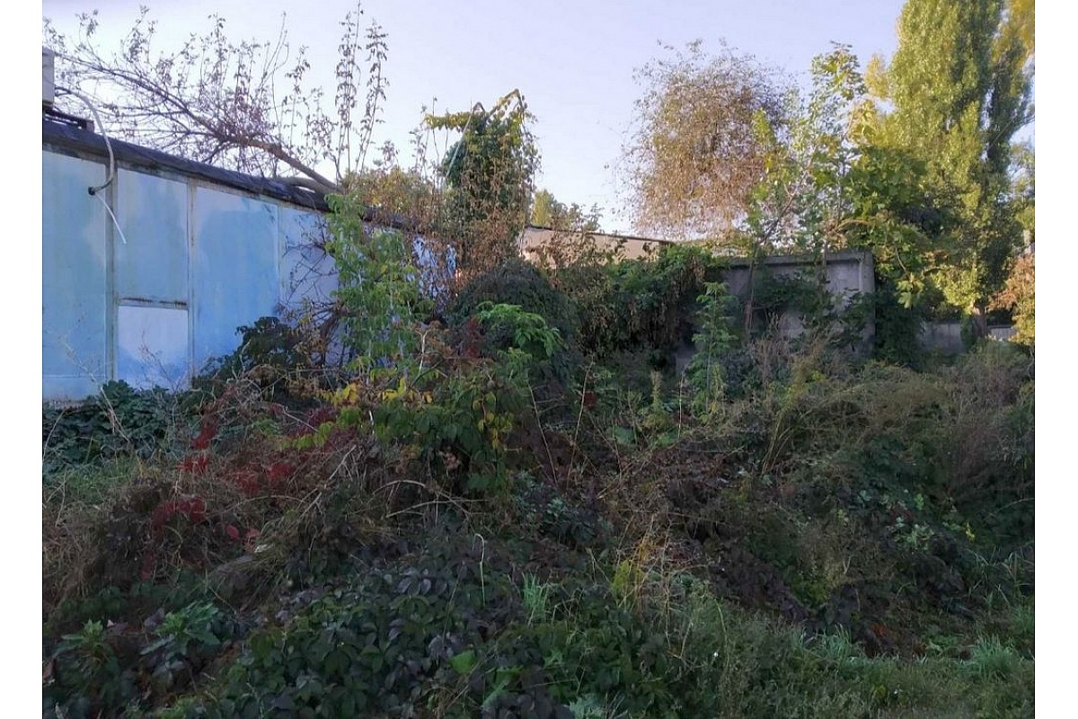 У Кропивницькому карають нехлюїв