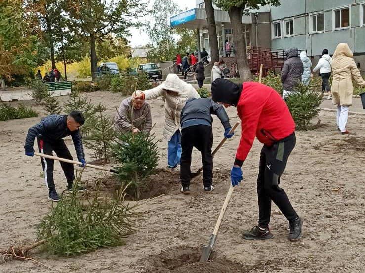 На Кіровоградщині “батьківщинівці” висаджували дерева