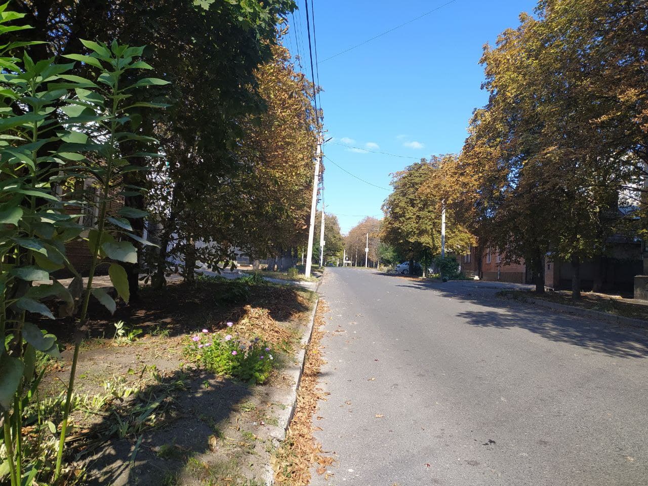 Сьогодні одна з вулиць Кропивницького частково залишилася без води