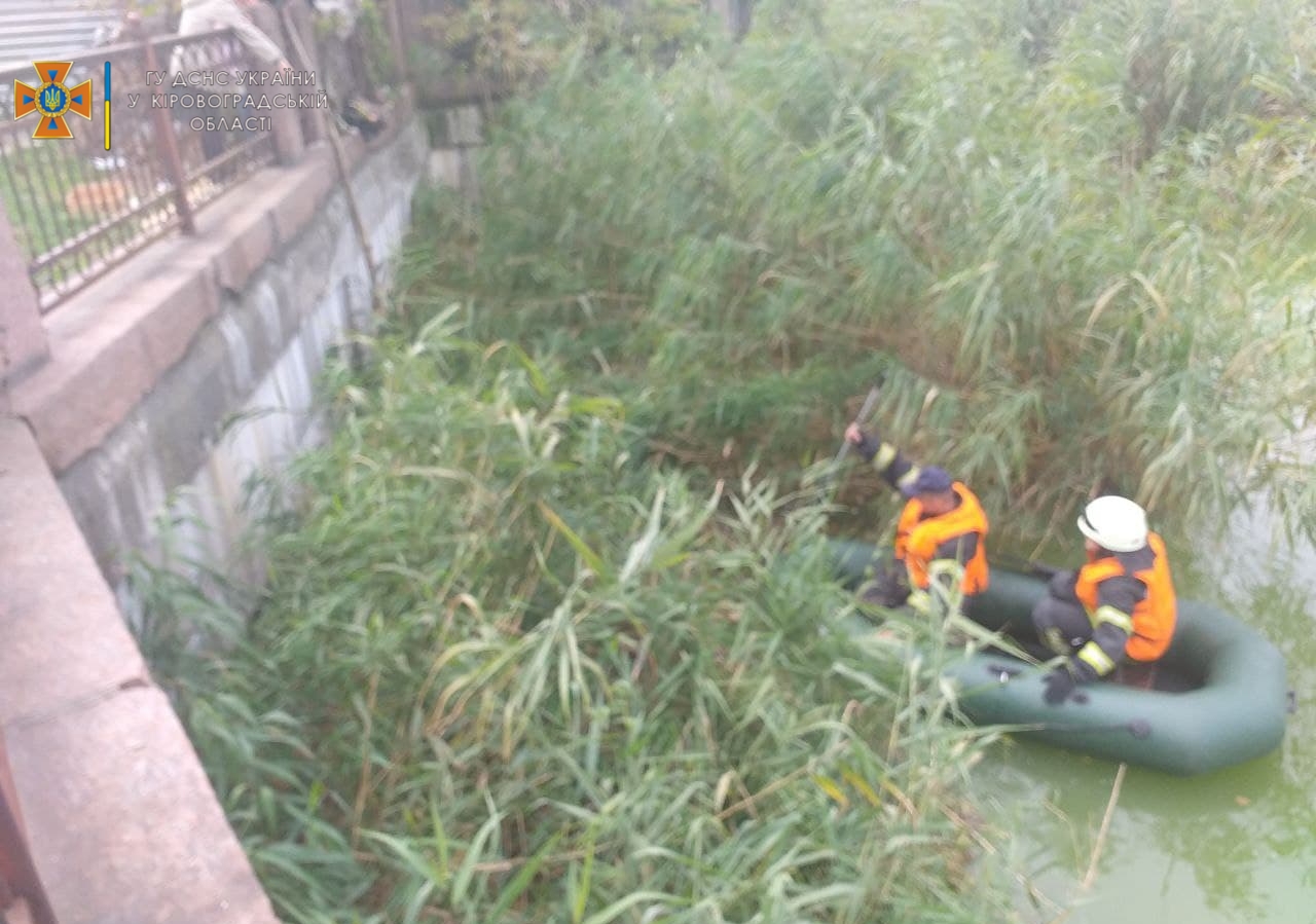 На Кіровоградщині собака та кіт потрапили у халепу: Довелося рятувати