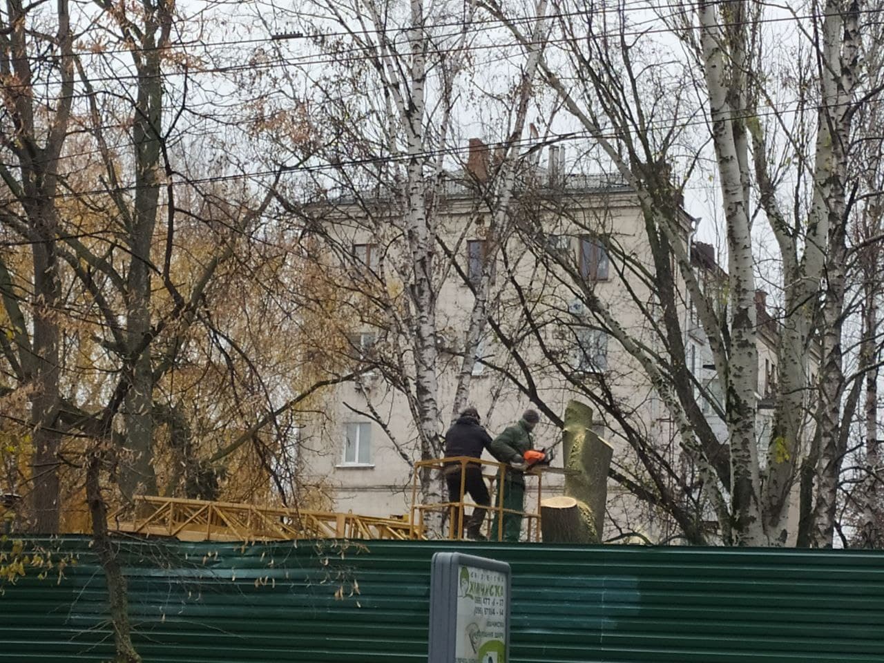 McDonald’s обіцяє висадити у Кропивницькому вдвічі більше дерев, аніж знищить