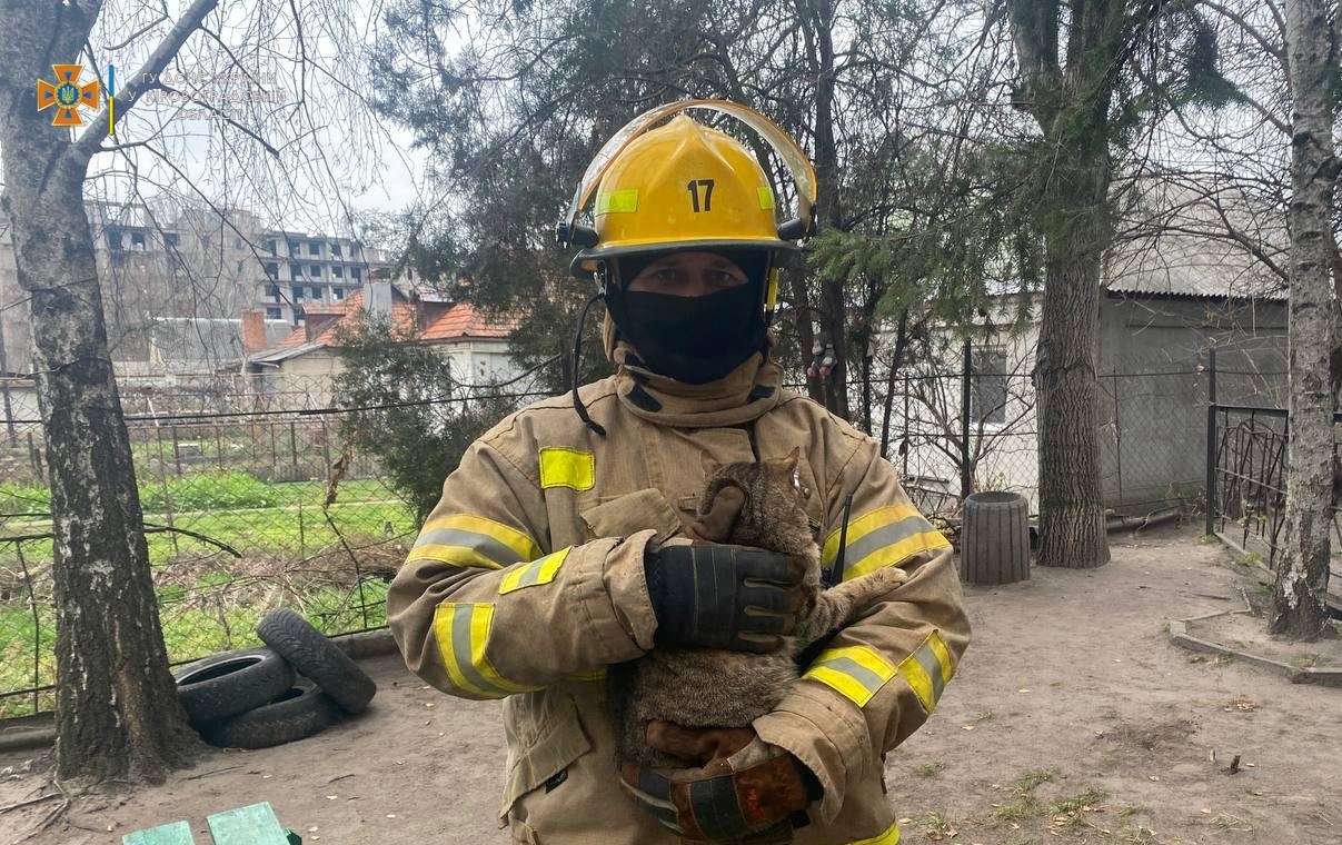 Котика та песика врятували на Кiровоградщинi (ФОТО)