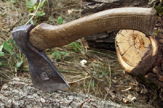 За порубку дерев на Кіровоградщині уродженець сусідньої області відповів перед законом