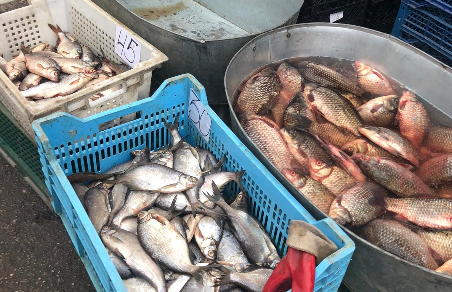 У Кропивницькому жінка продавала рибу, а про документи забула