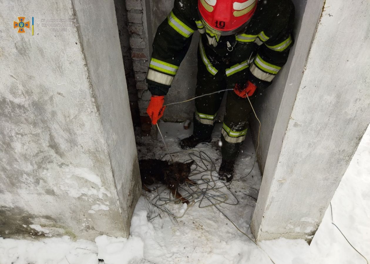 Песик впав у яму на Кiровоградщинi