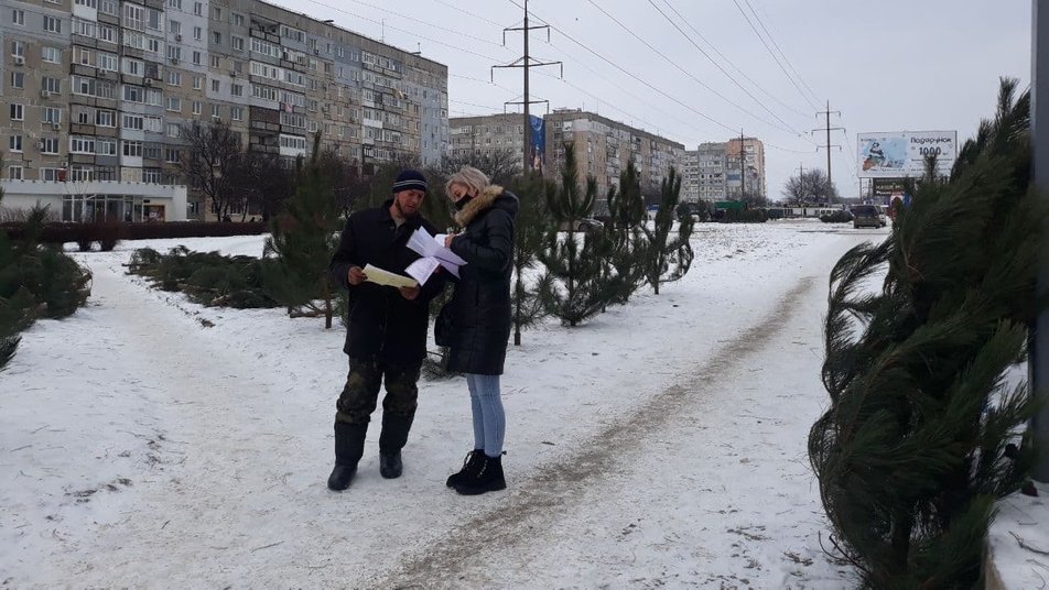 Житель Кропивницького незаконно торгував соснами (ВIДЕО)