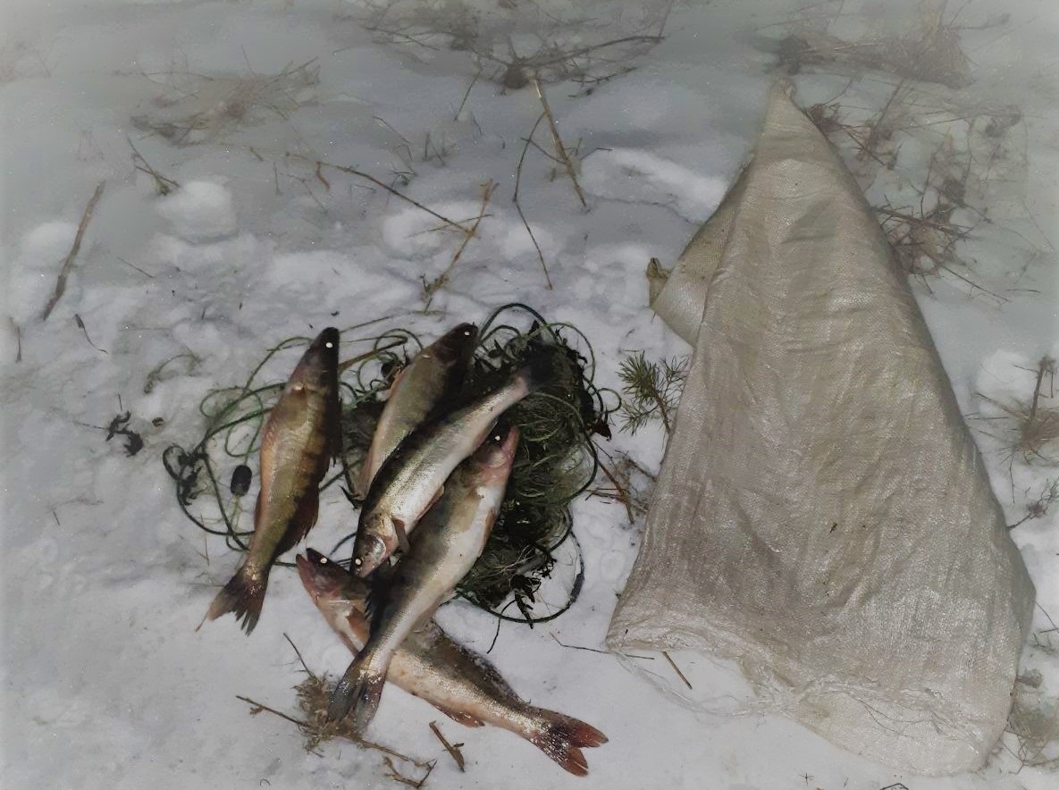 На Кіровоградщині зловили бракон’єра