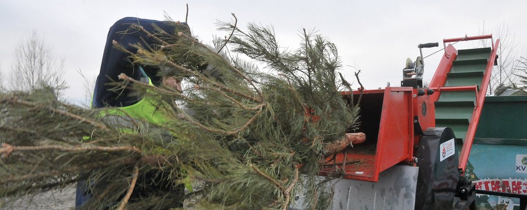 На Кiровоградщинi за допомогою ялинок навчилися економити
