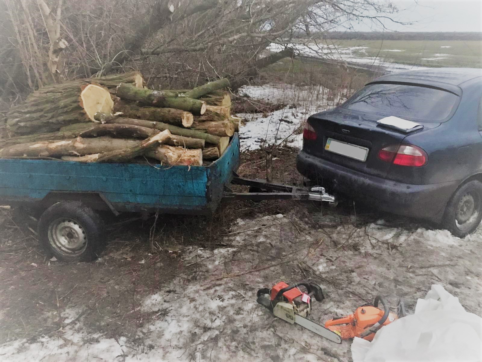 На Кіровоградщині на “гарячому” спіймали чорних лісорубів (ФОТО)