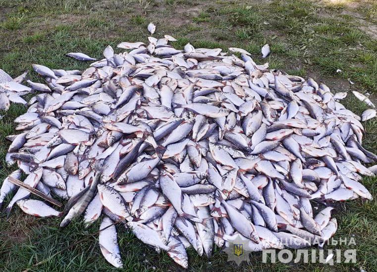 Зловмисники незаконно наловили риби на Кiровоградщинi на чотири мiльйони