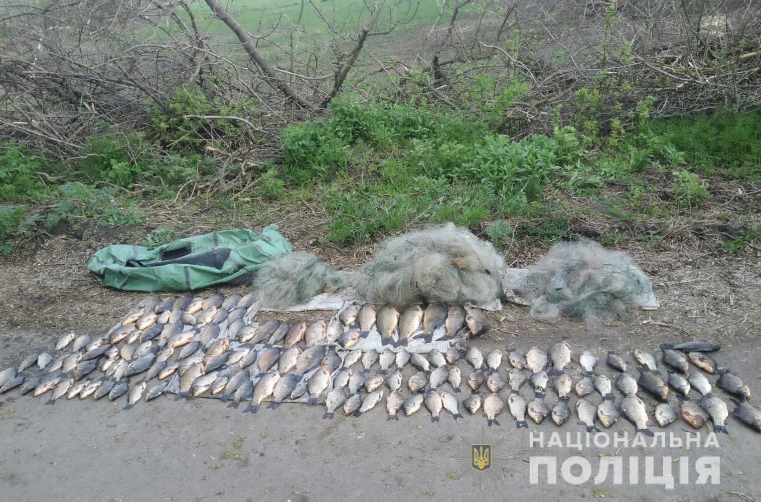 На Кіровоградщині браконьєри наловили риби на понад 300 тисяч гривень (ФОТО)