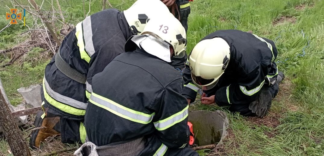 На Кіровоградщині із колодязя витягнули козеня (ФОТО)