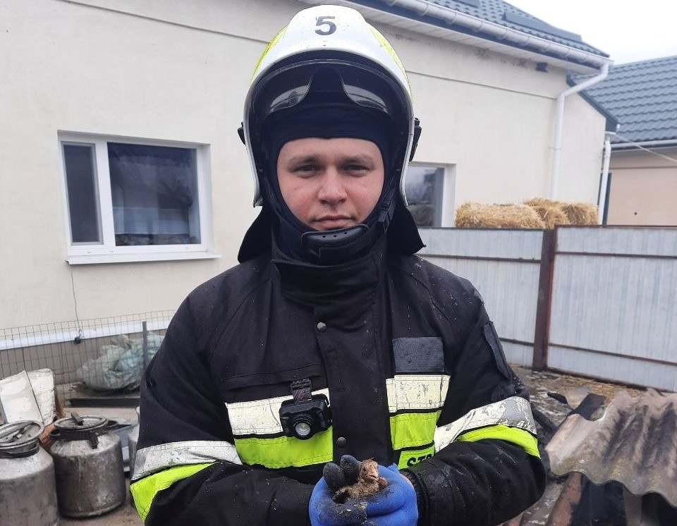 Вогнеборці Кіровоградщини загасили чотири пожежі та врятували пташенят (ФОТО)