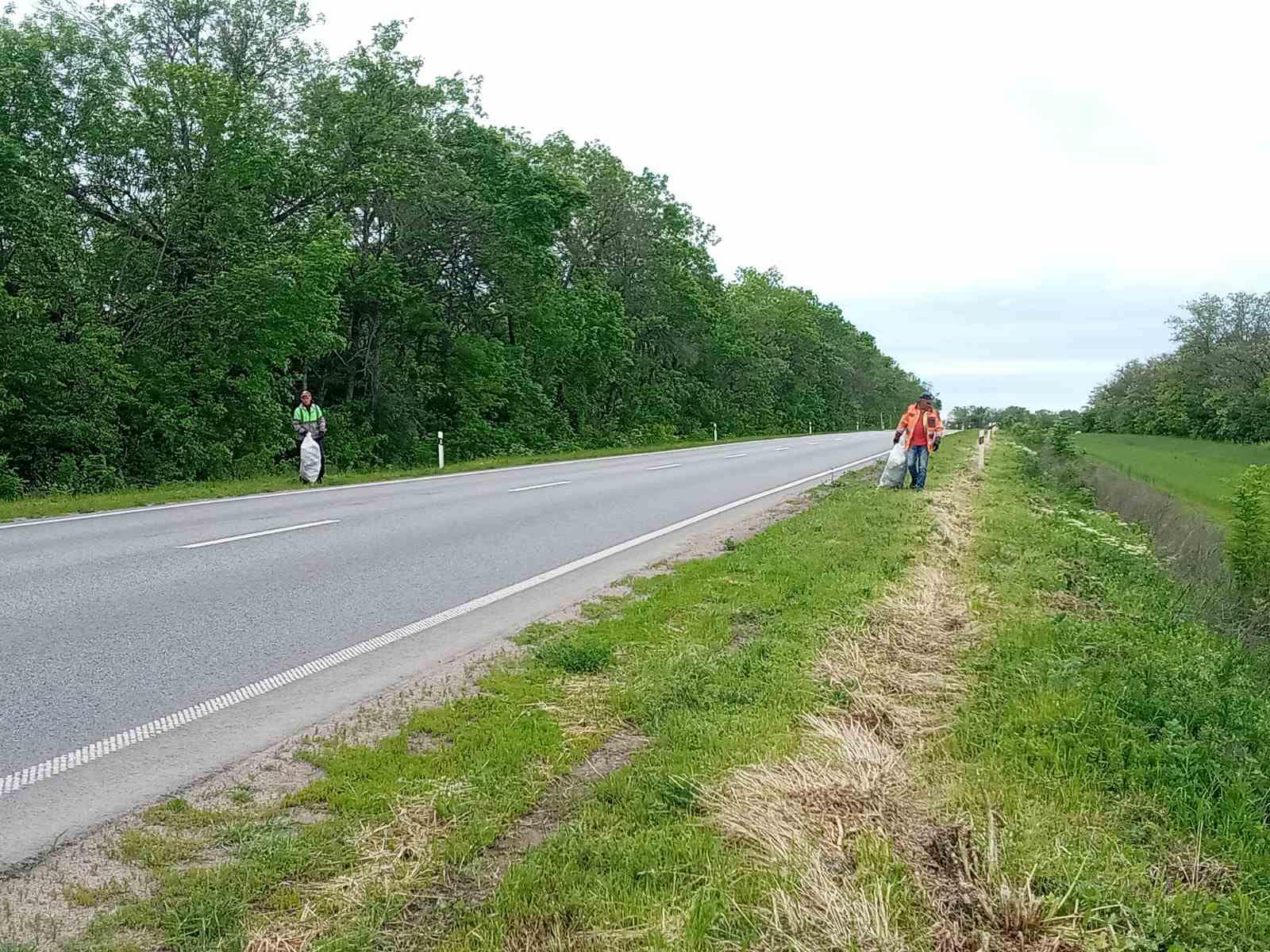 Дорожники Кіровоградщини наводять порядок на шляхах області (ФОТО)