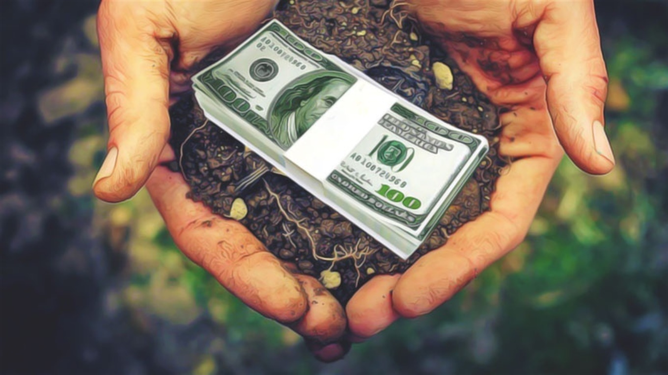 На Кiровоградщинi чиновники торгували землею без рішень сільради