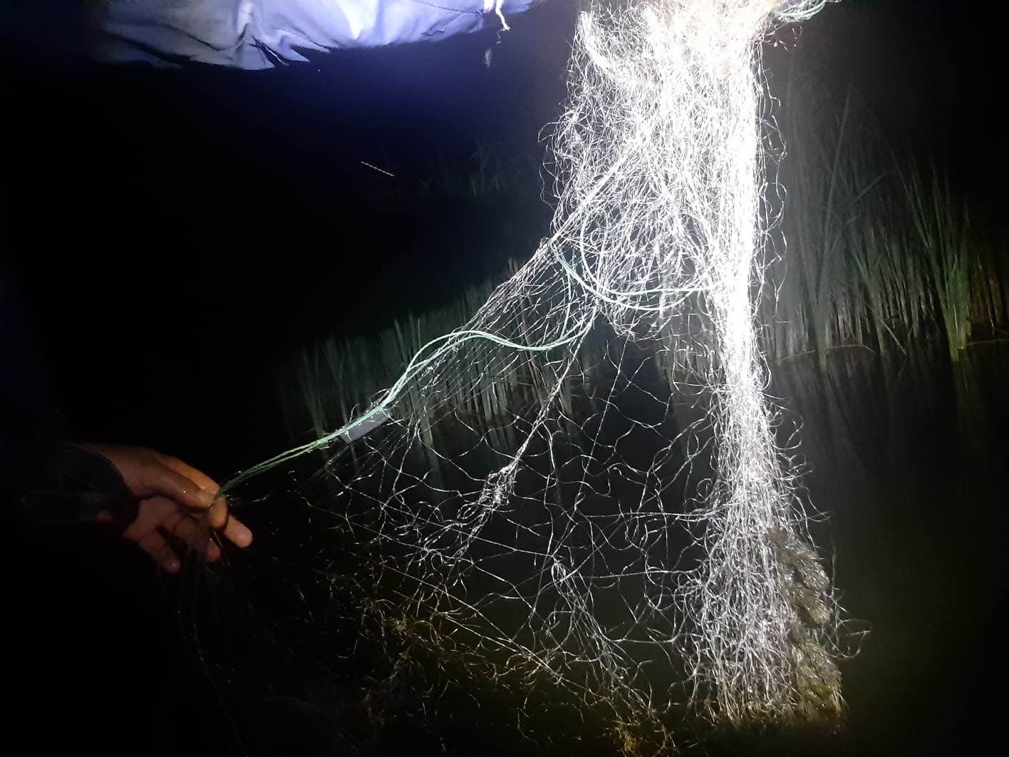 У громаді на Кіровоградщині браконьєри встановили півкілометра сіток