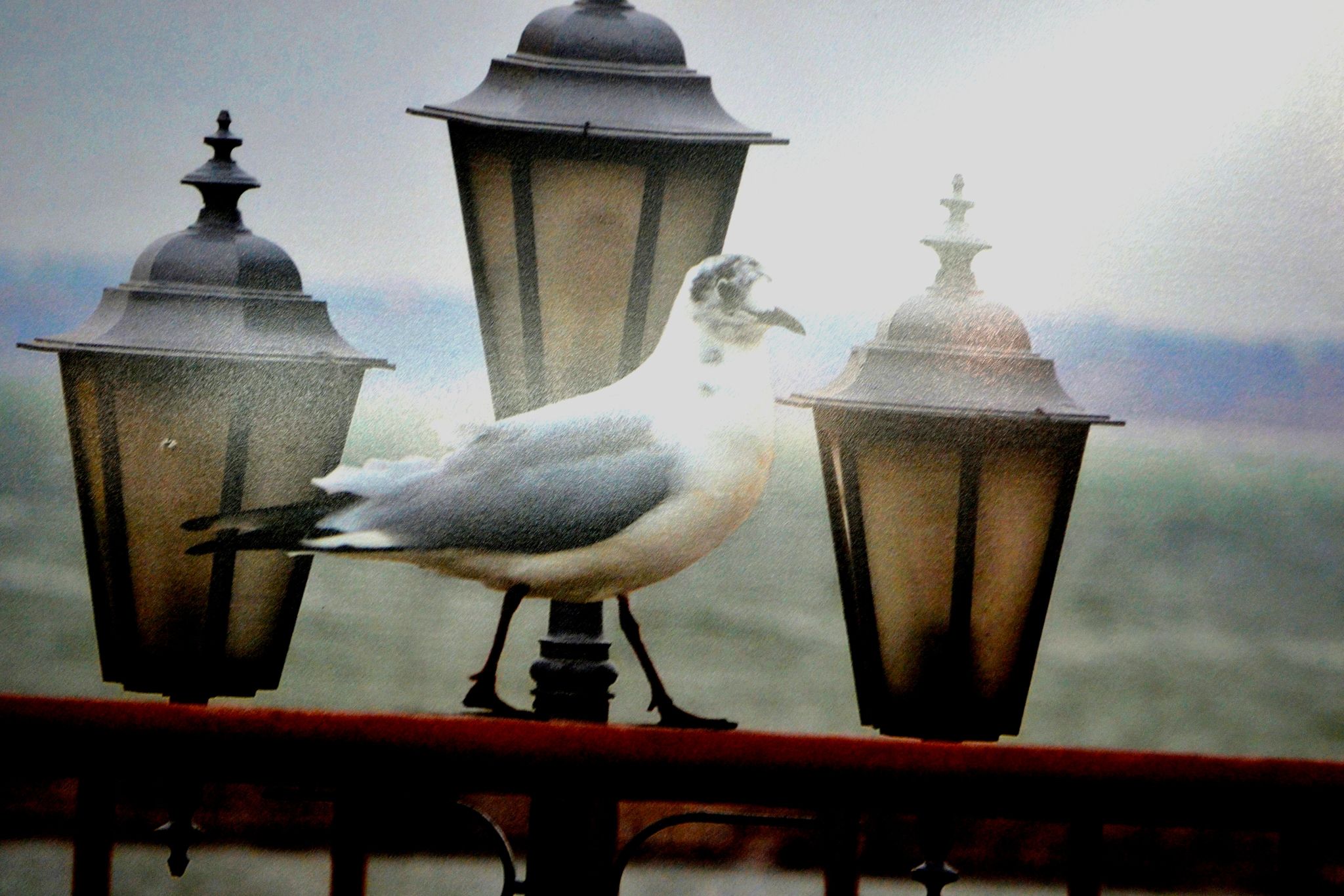 У Кропивницькому відбулася творча зустріч з відомим фотохудожником з Дніпропетровщини (ФОТО)