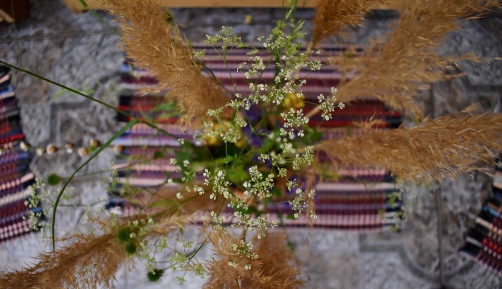 У Кропивницькому відкрили експозицію “Зеленеє свято у цілющих травах” (ФОТО)