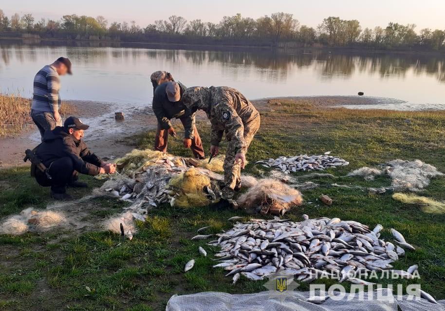 Правоохоронці Кіровоградщини вилучили більше двох тонн незаконно виловленої риби