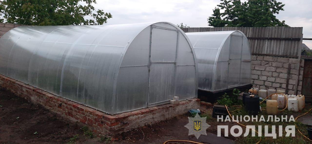 Житель Кiровоградщини дбайливо вирощував та продавав канабiс (ФОТО)