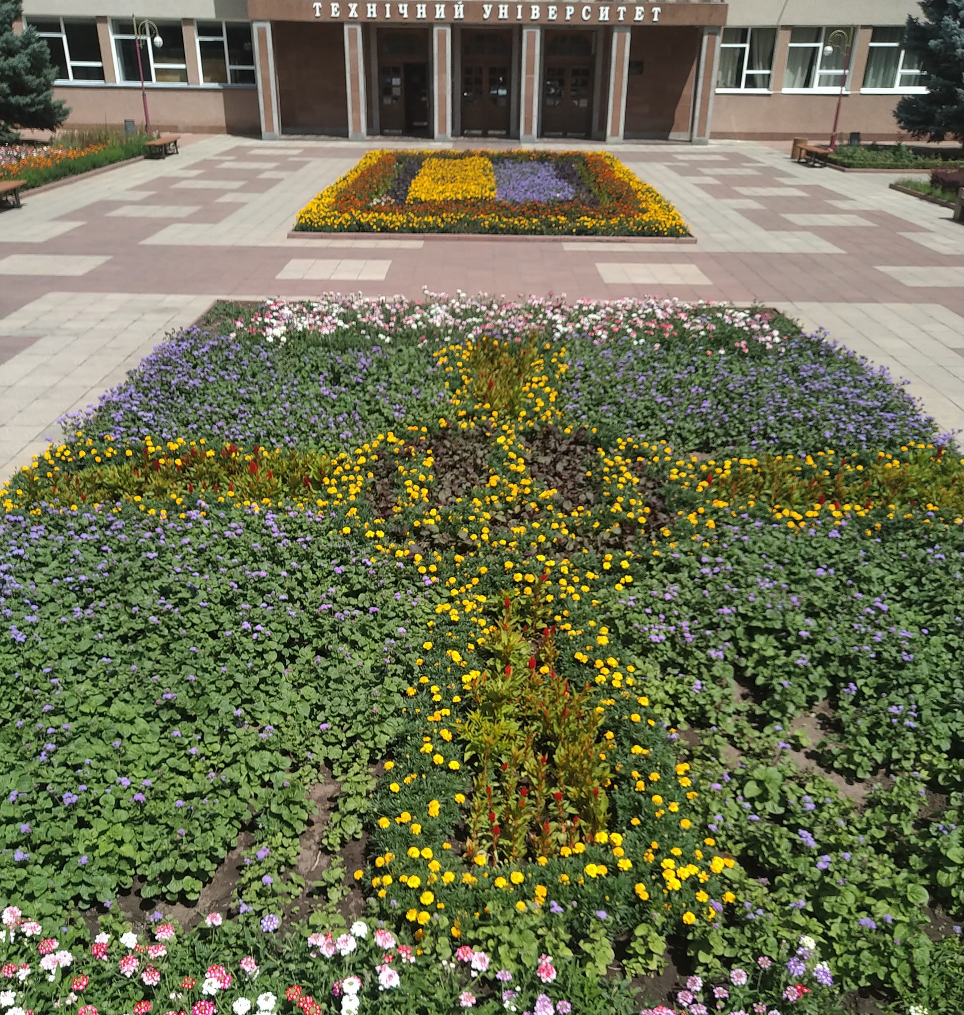 З квiтiв у кропивницькому вишi створили хрест ЗСУ та прапор України