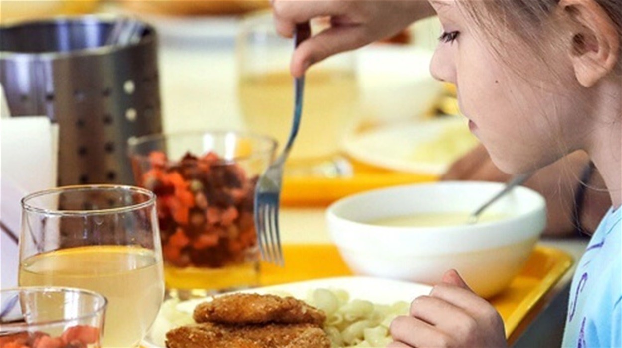 У Кропивницьких школах та садках затвердили вартість харчування