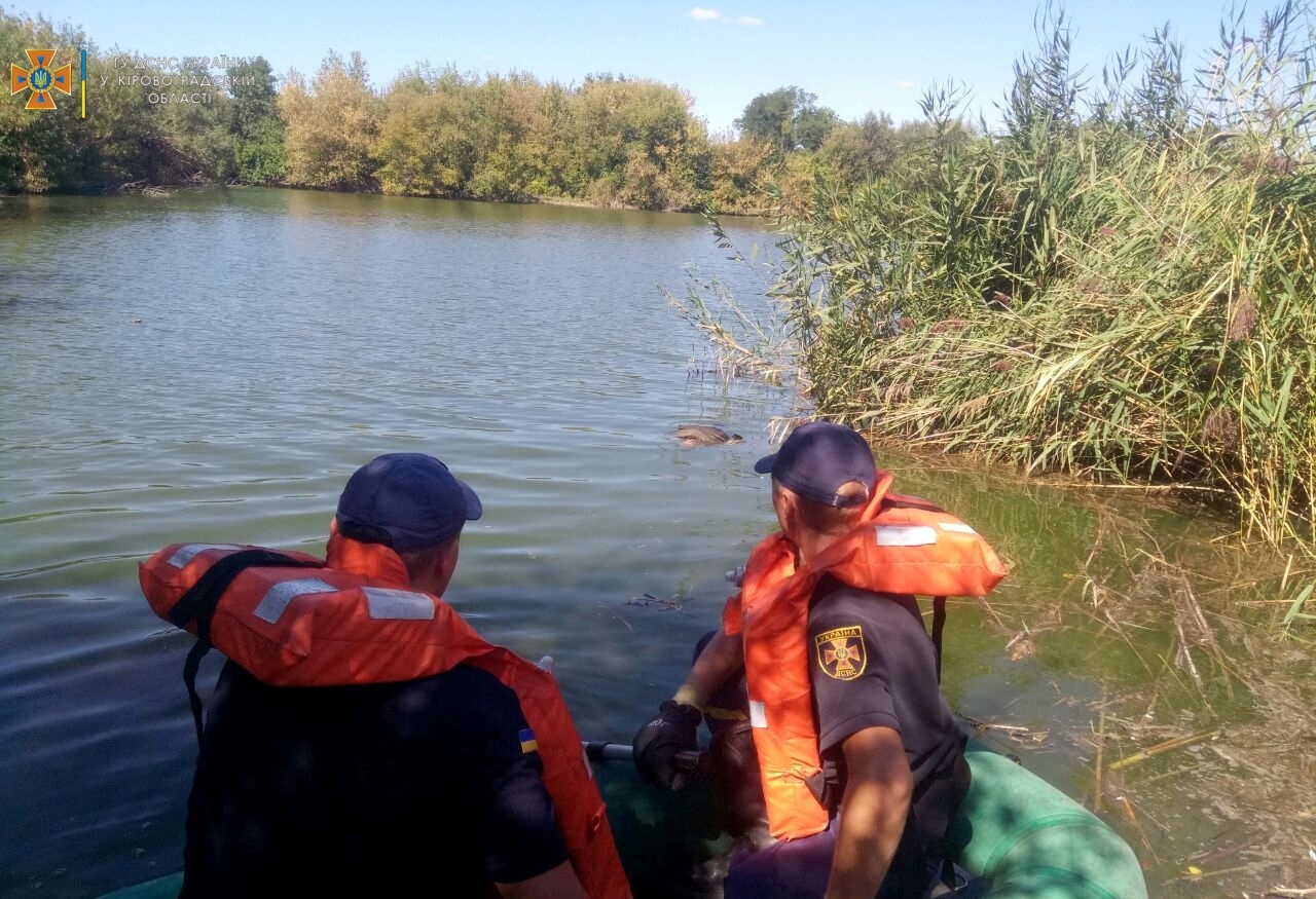 На Кіровоградщині зі ставка витягли потопельника (ФОТО)