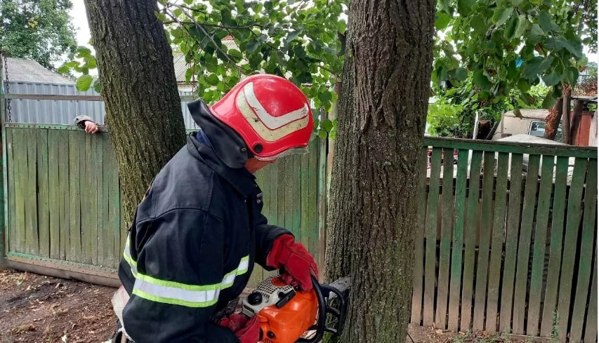 Рятувальники Кіровоградщини прибрали аварійні дерева