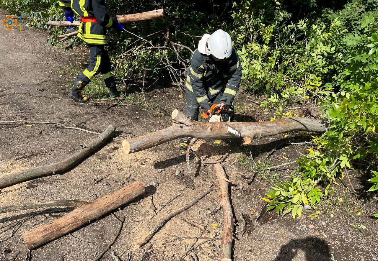 Рятувальники Кіровоградщини прибрали аварійні дерева (ФОТО)