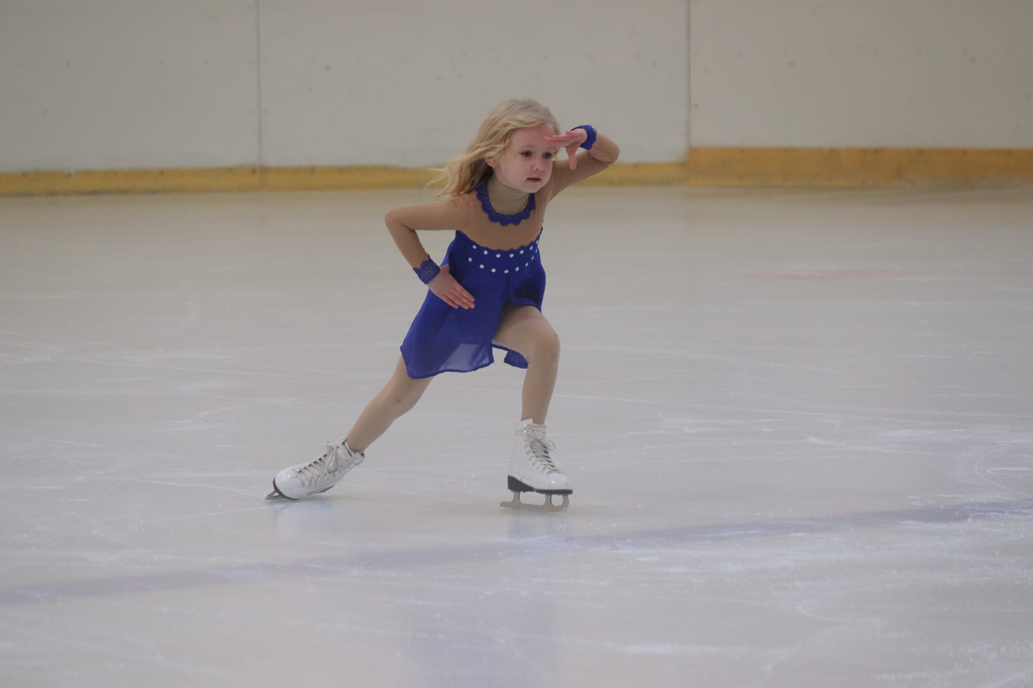 Фігуристки з Кіровоградщини вдало виступили на всеукраїнських змаганнях (ФОТО)
