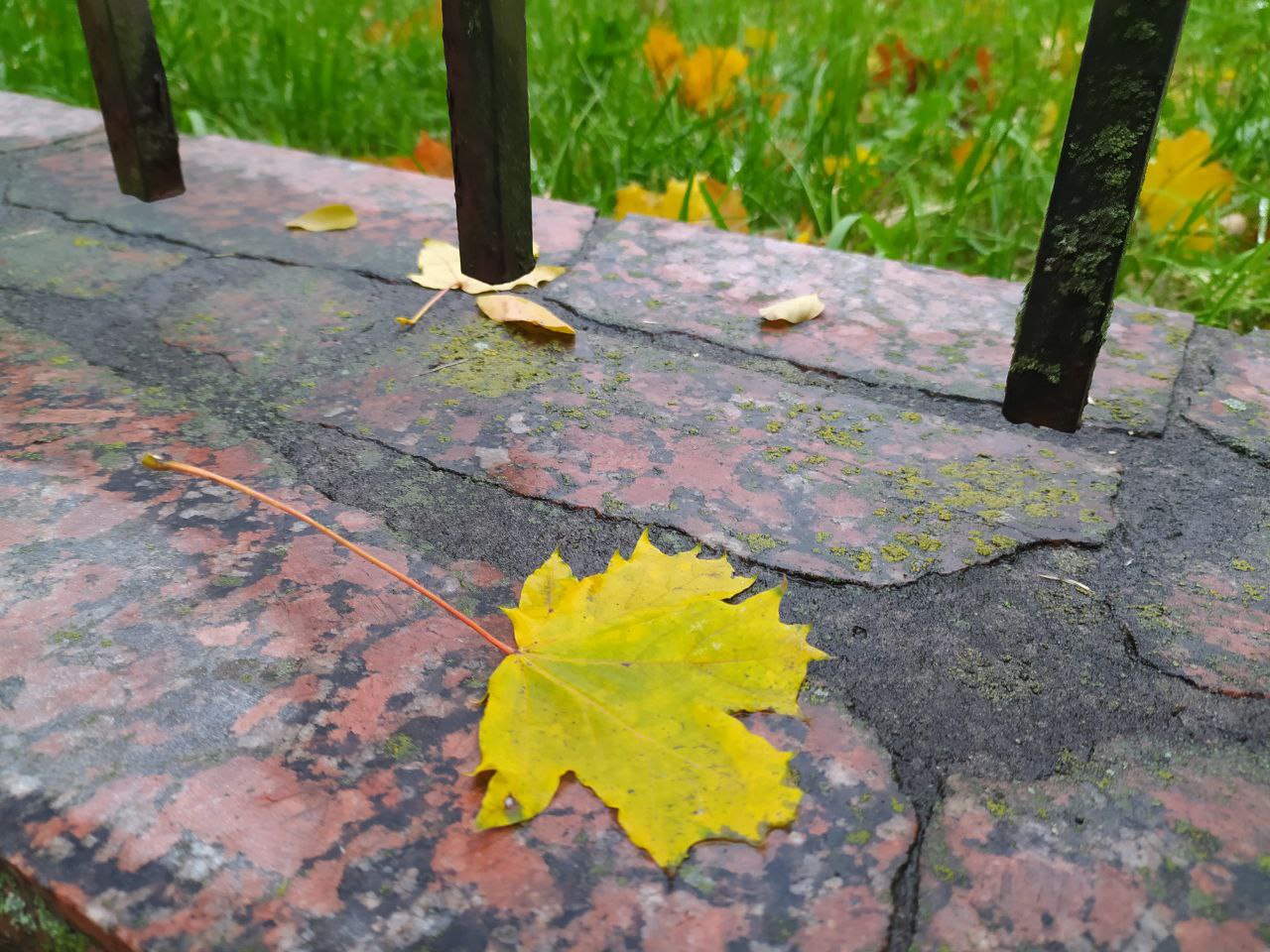 Жовтневий танок опалого листя у Кропивницькому (ФОТО)