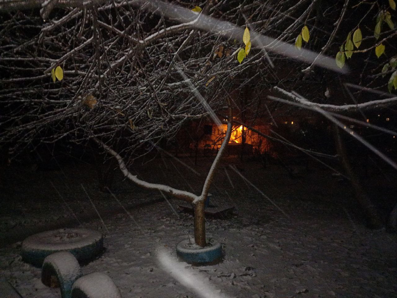 У Кропивницькому йде перший сніг (ФОТО)