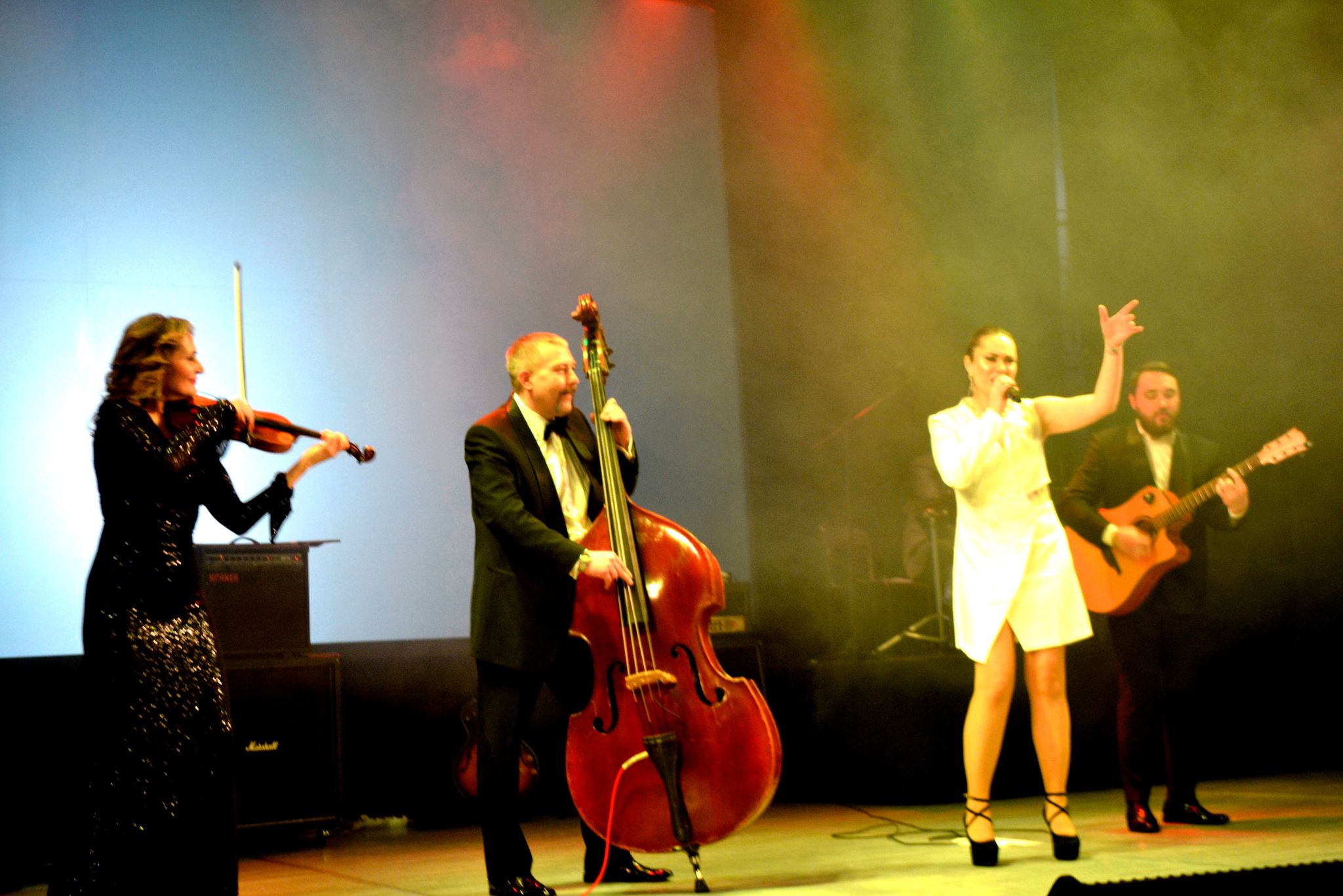 У Кропивницькому відбувся ювілейний концерт музичного колективу філармонії (ФОТО)