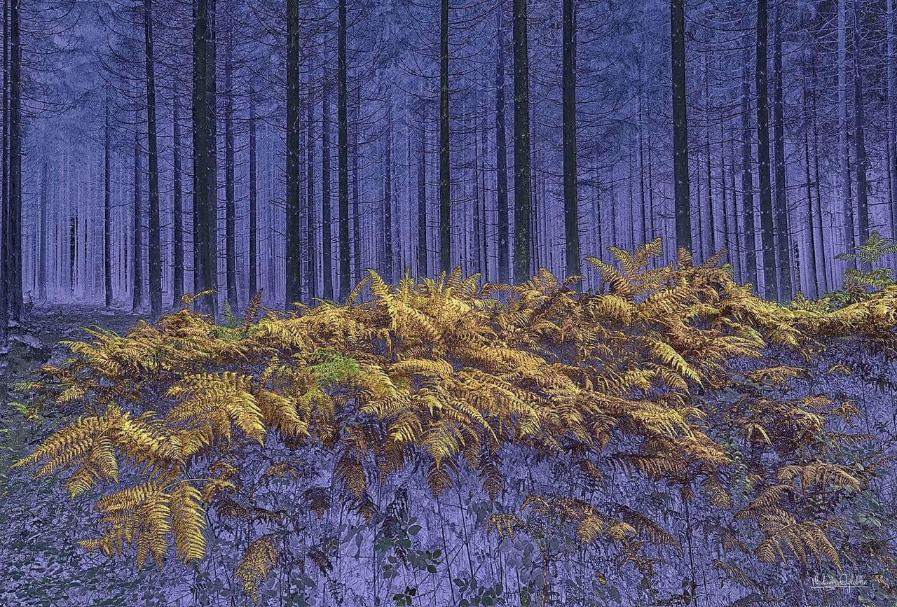 Волонтери продають фотокартини, щоб допомогти вiйськовим Кiровоградщини