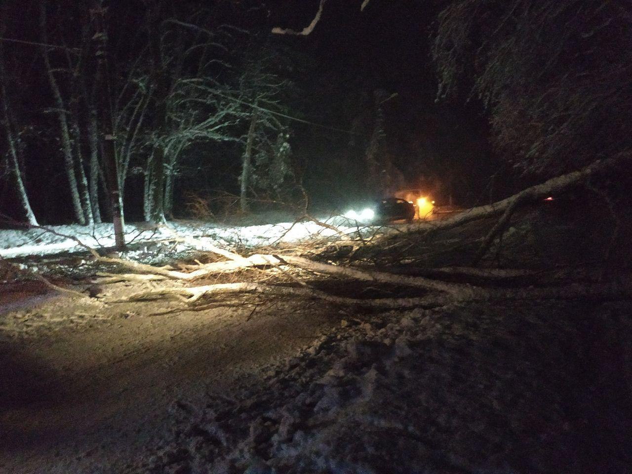 Негода додала роботи рятувальникам Кіровоградщини (ФОТО)