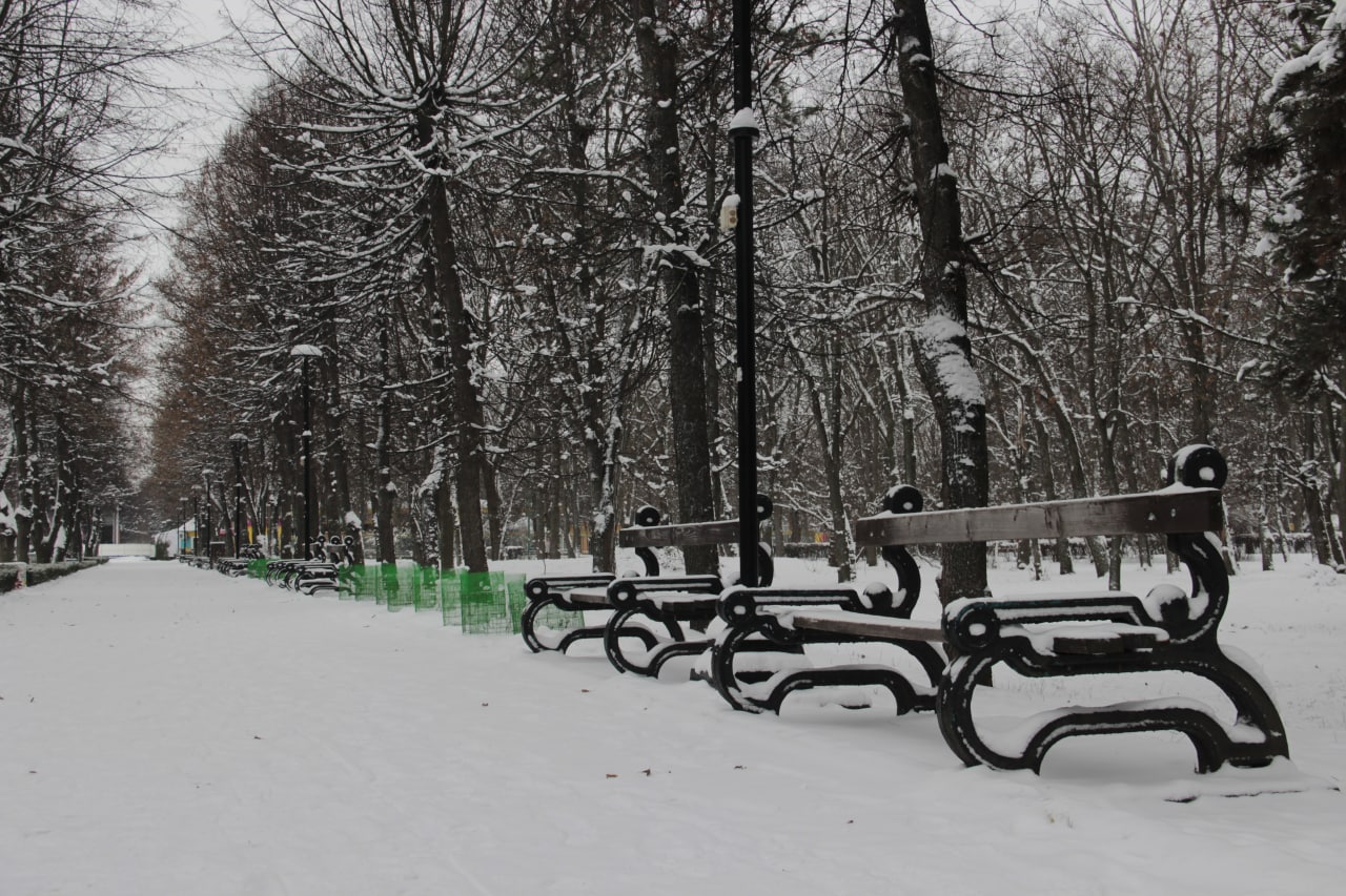 Білосніжний Кропивницький у світлинах (ФОТО)