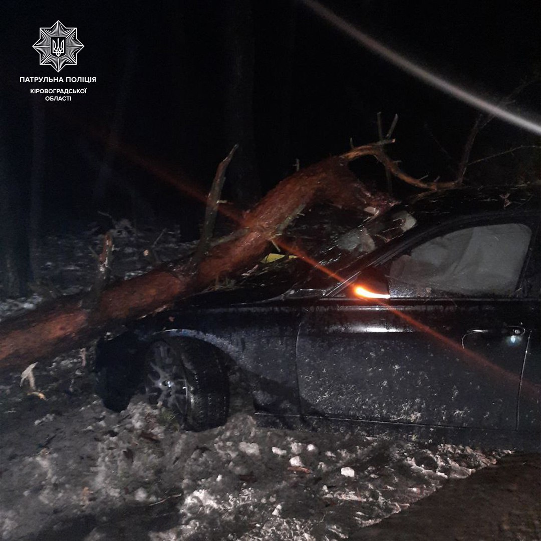 Водiй автiвки знiс дерево у Кропивницькому