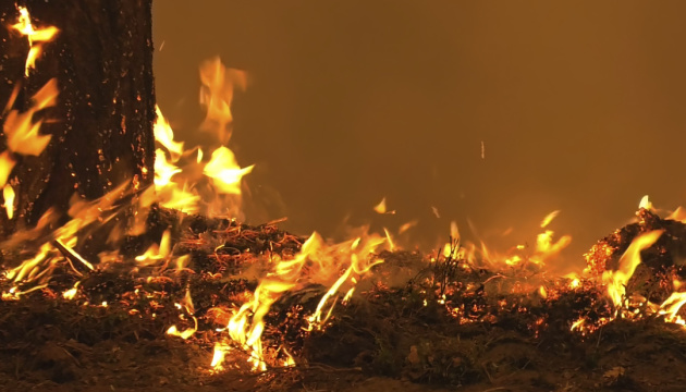 Вогнеборцi Кiровоградщини за добу загасили одну пожежу