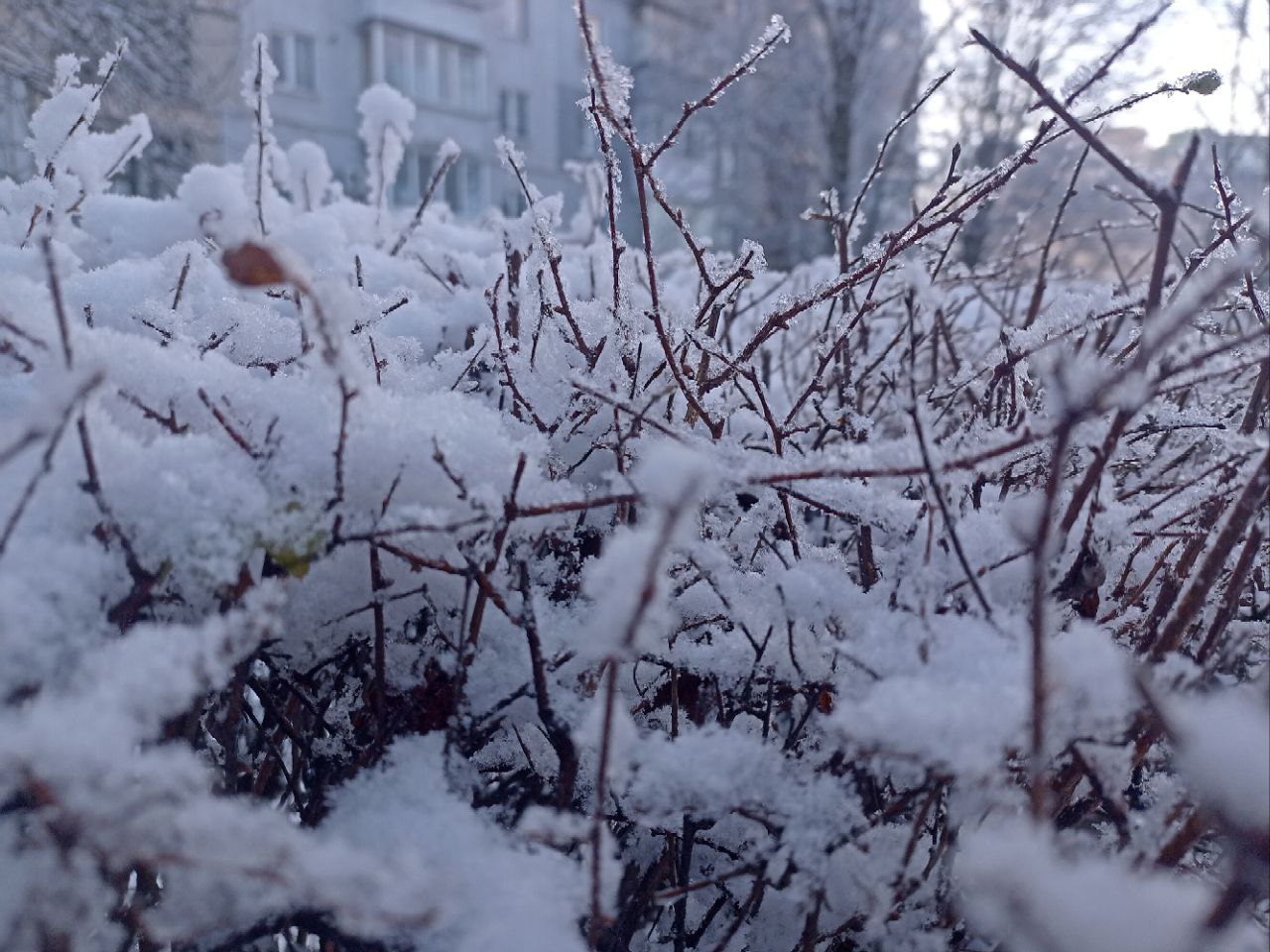 Сніжний Кропивницький у світлинах (ФОТО)