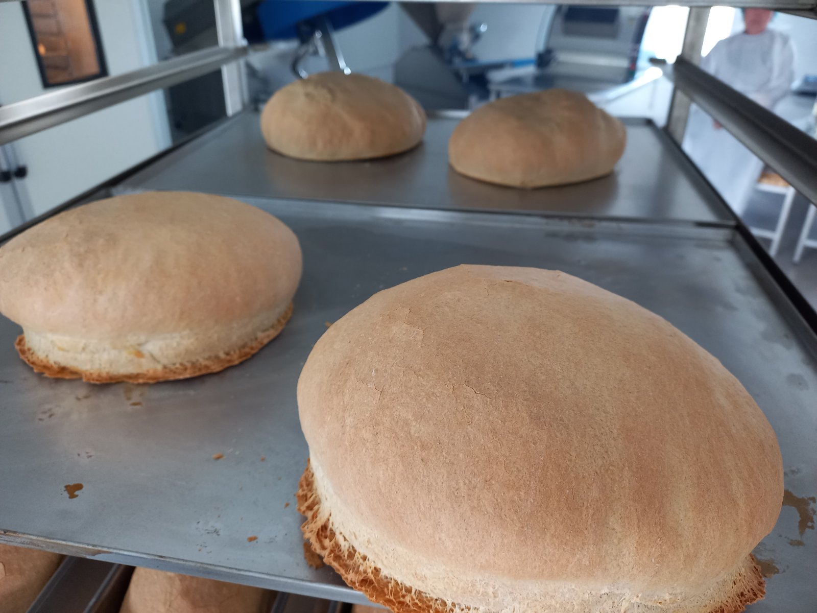 Родина з Кiровоградщини вiдкрила в селi хлiбопекарню