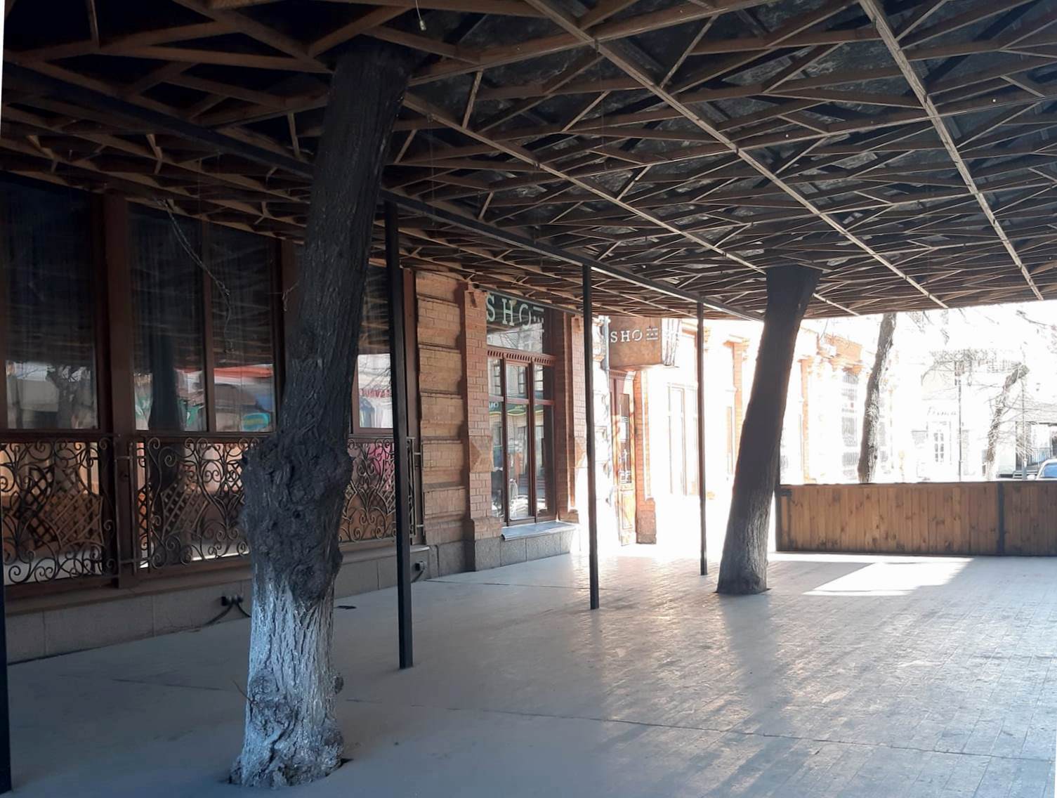 Через суспiльний резонанс, у Кропивницькому обстежать стан дерев