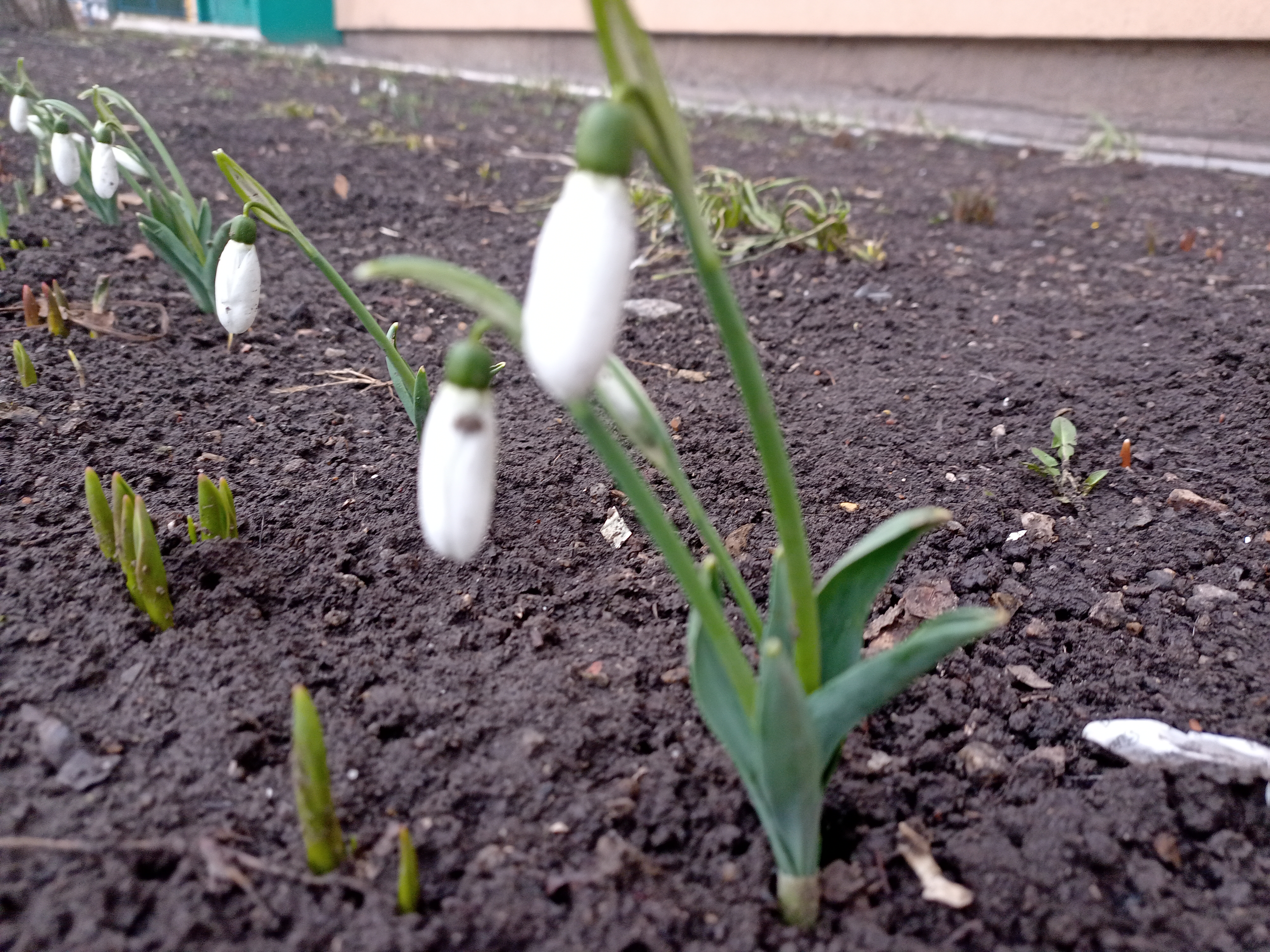 Похмурий вечір першого дня весни у Кропивницькому в світлинах (ФОТО)
