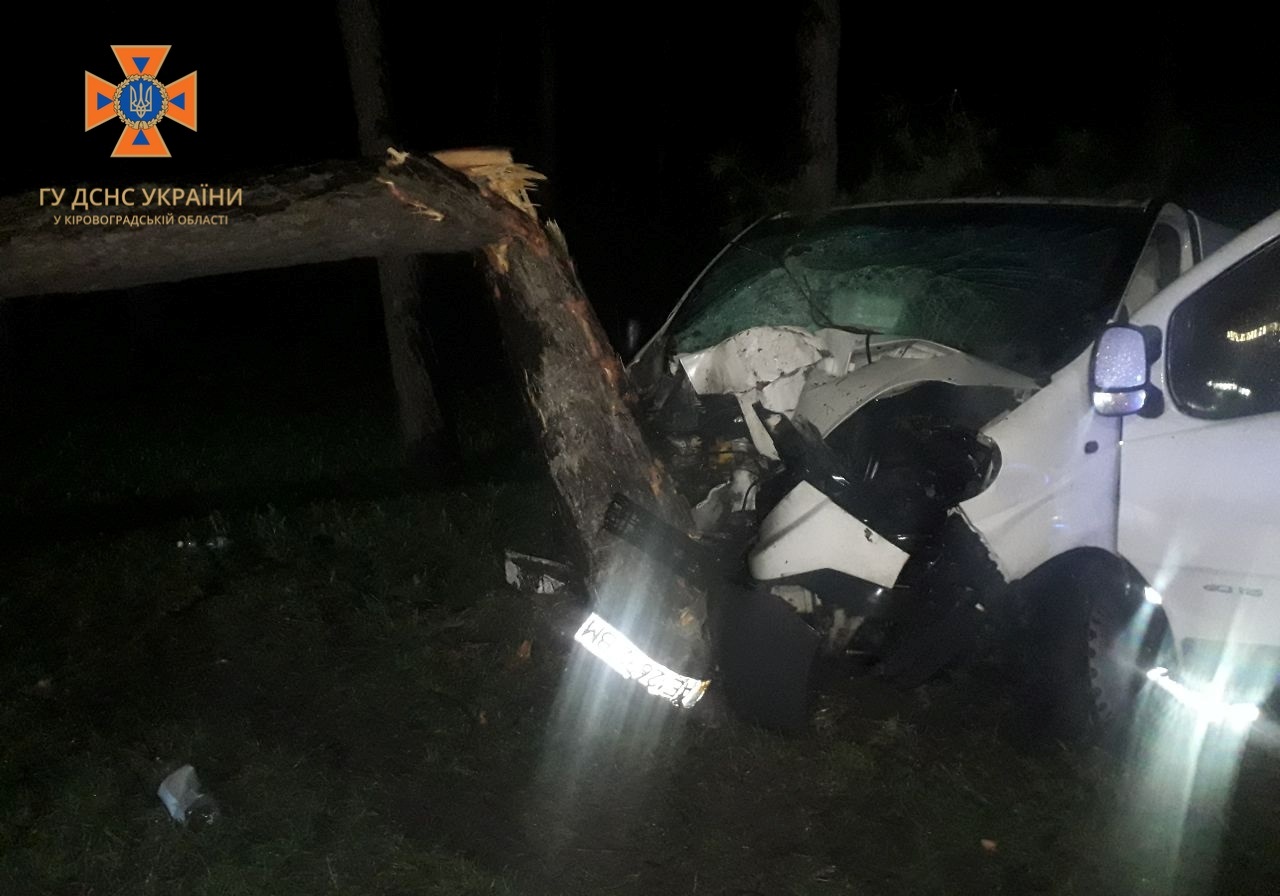ДТП у Кропивницькому: автівка врізалася в дерево