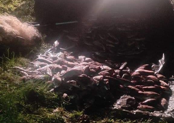 На Кіровоградщині зловили браконьєра разом з уловом