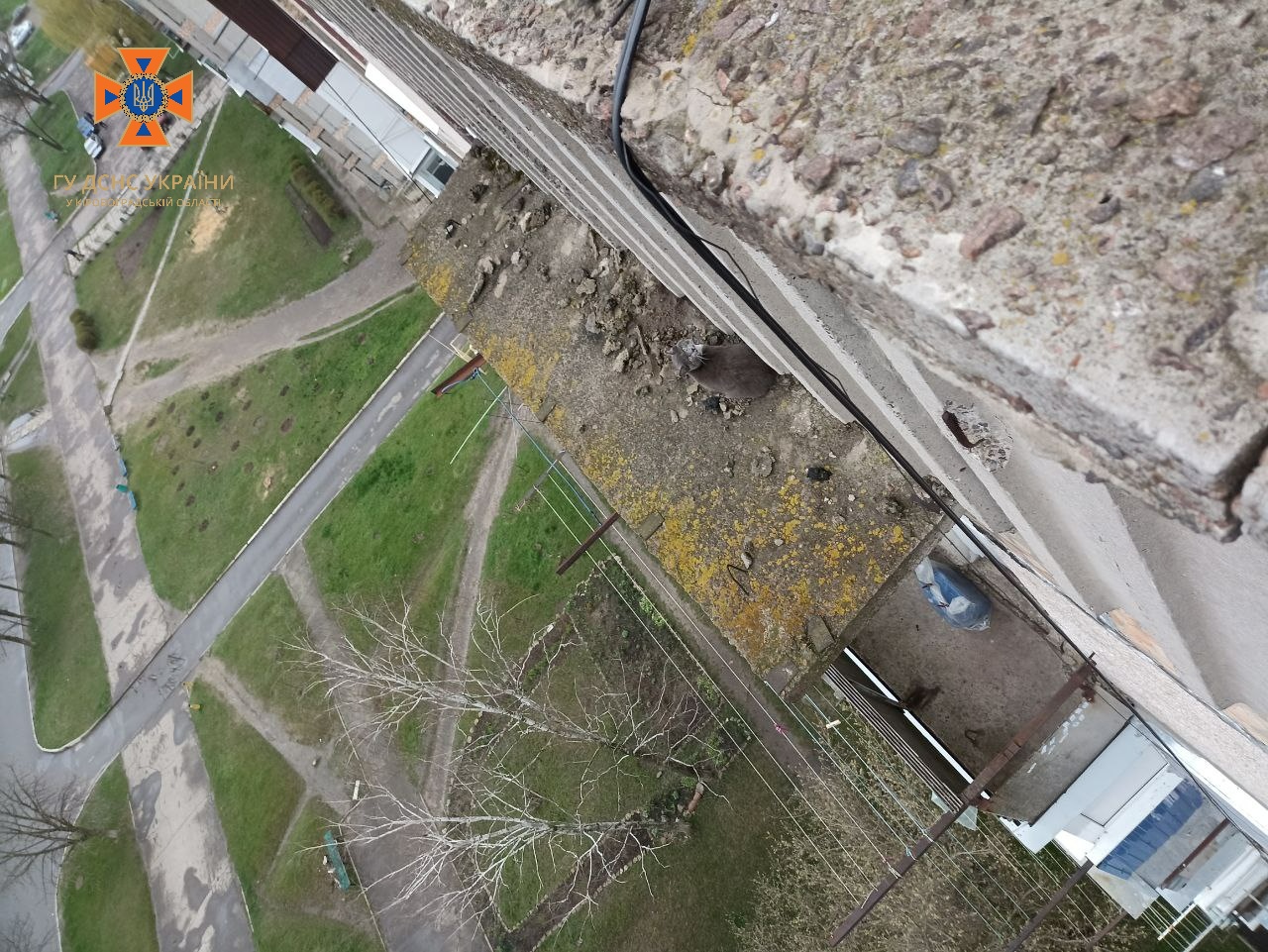 Надзвичайники Кiровоградщин врятували кота