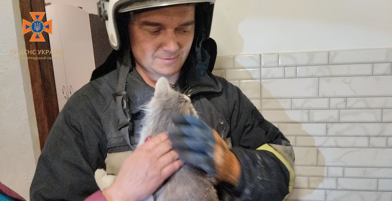 На Кіровоградщині пухнастий застряг у вентиляції (ФОТО)