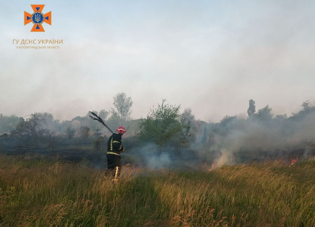 У Кропивницькому рятувальникам довелося гасити пожежу на природі