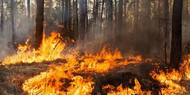 Жителів Кіровоградщини закликають відповідально ставитися до вогню