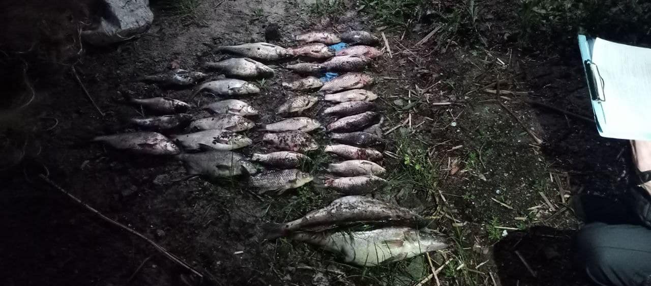 На Кіровоградщині браконьєр наловив риби на майже 60 тисяч гривень